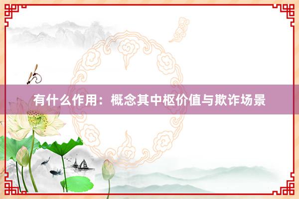 有什么作用：概念其中枢价值与欺诈场景