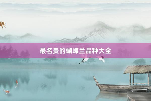最名贵的蝴蝶兰品种大全