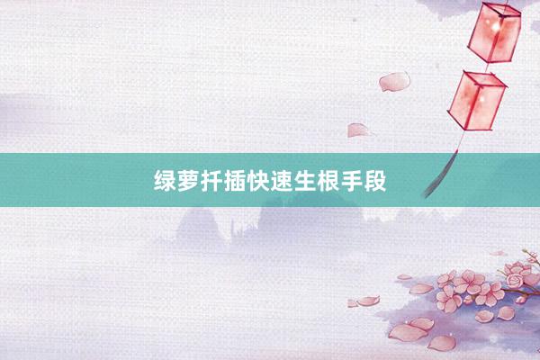 绿萝扦插快速生根手段