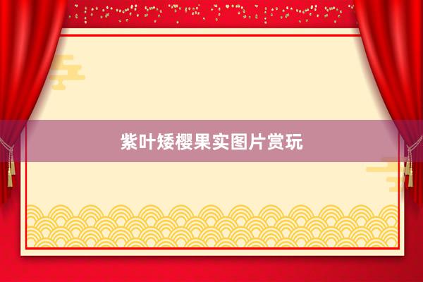 紫叶矮樱果实图片赏玩