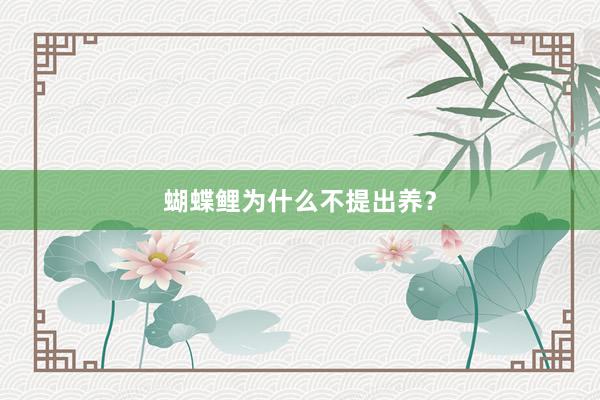 蝴蝶鲤为什么不提出养？