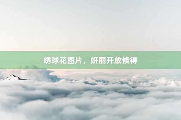 绣球花图片，妍丽开放倏得